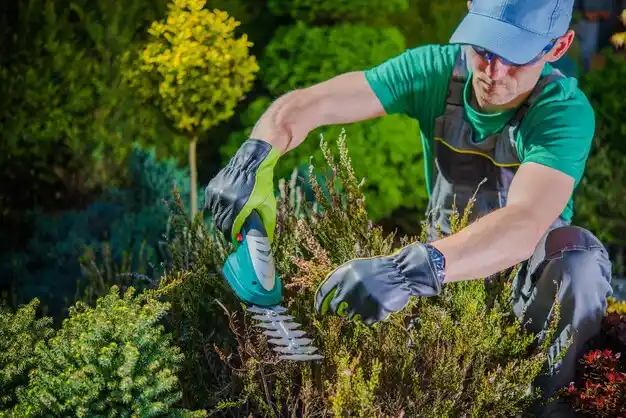 landscaping services Mayfield